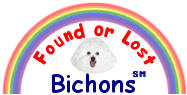 Found or Lost Bichons
