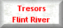 Tresors Flint River